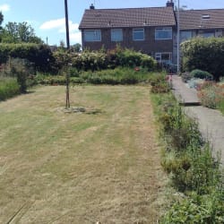 Finishing touches to an overgrown garden.
