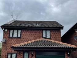 Main photos of LT Roofing and Property Care