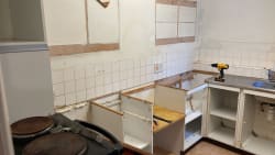 Main photos of Roddy Shabani LTD