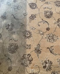 carpet cleaning of Local Expert Cleaning