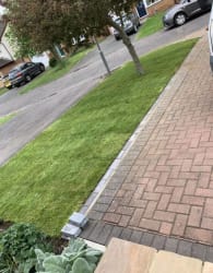 Main photos of Woodlands tree and landscaping 
