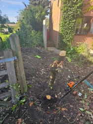 Main photos of local gardener Norfolks LTD