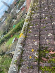 Main photos of Redline Roofing