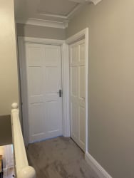 Main photos of FM Painting & Decorating