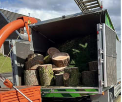 Main photos of South wales tree services