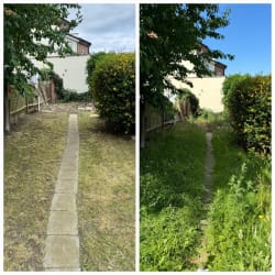 Main photos of Tidy Properties Ltd