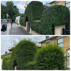 Main photos of Tidy Properties Ltd