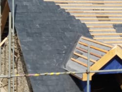 Main photos of DXR Roofing