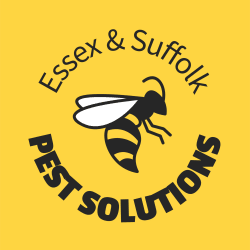 Essex 