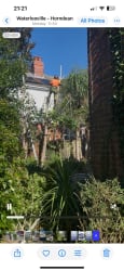 Main photos of PT Tree Care & Landscape