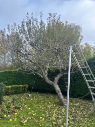 Main photos of PT Tree Care & Landscape