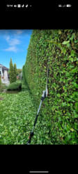 Cover photos of Stn trees and landscaping