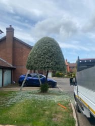 Main photos of Dave's Property Maintenance