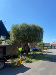 Main photos of Dave's Property Maintenance