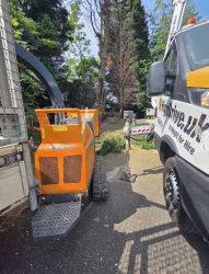 Elite Tree Surgeons Shropshire 