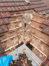 Cover photos of Intact Construction Ltd