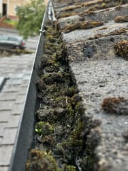 Main photos of Goodhall’s Gutter’s