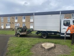 Main photos of All care tree care