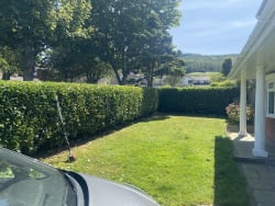 Cover photos of Treescape