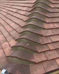 Main photos of Ever Peak - Roofing