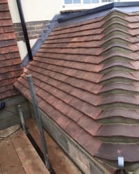 Main photos of All Aspects Roofing Specialists Ltd