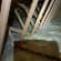 Home improvement Lead