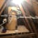 Home improvement Lead
