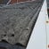 Home improvement Lead