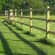 Wooden fencing Lead