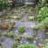 Garden maintenance and upkeep Lead