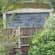 Asbestos survey Lead