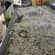 Flat roof repair Lead