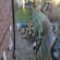 Rubbish clearing & removal Lead
