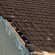 Tile roof repairs Lead