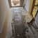Asbestos survey Lead