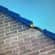 Tile roof repairs Lead