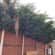 Garden maintenance and upkeep Lead
