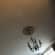 Plasterboard ceilings Lead