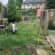 Garden maintenance and upkeep Lead