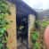Tile roof repairs Lead