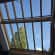 Conservatory repairs Lead