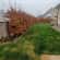 Lawn Care Lead