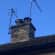 Tile roof repairs Lead