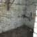 Flea Treatment Lead