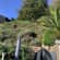Lawn Care Lead