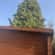 Flat roof repair Lead