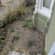 Pave Driveway Lead