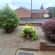 Lawn Care Lead