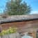 Asbestos survey Lead