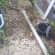 Asbestos survey Lead